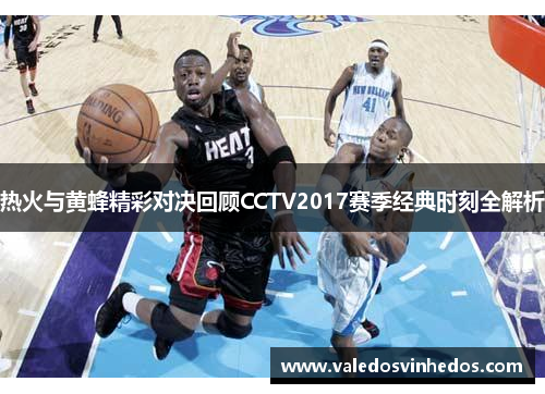 热火与黄蜂精彩对决回顾CCTV2017赛季经典时刻全解析