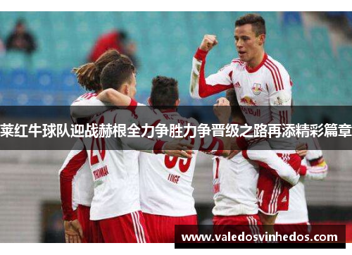 莱红牛球队迎战赫根全力争胜力争晋级之路再添精彩篇章